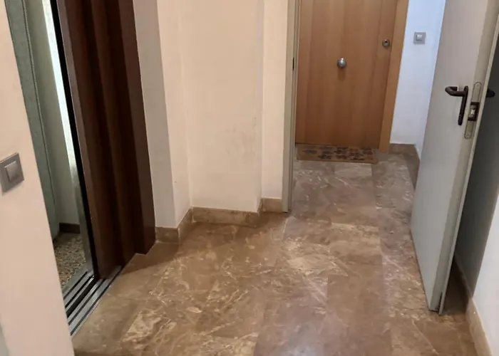 Проживание в семье Y&to *