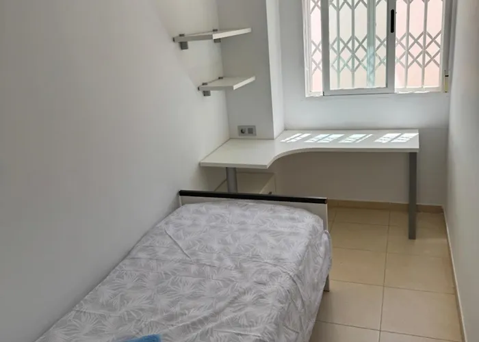 Y&to Проживание в семье Эл Грао