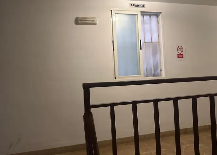 Проживание в семье Y&to *