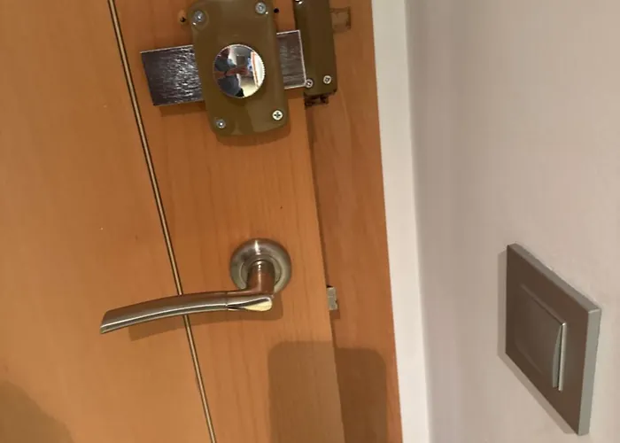 Y&to Проживание в семье *