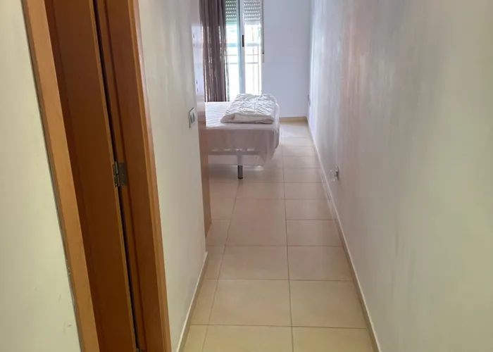 Y&to Проживание в семье *